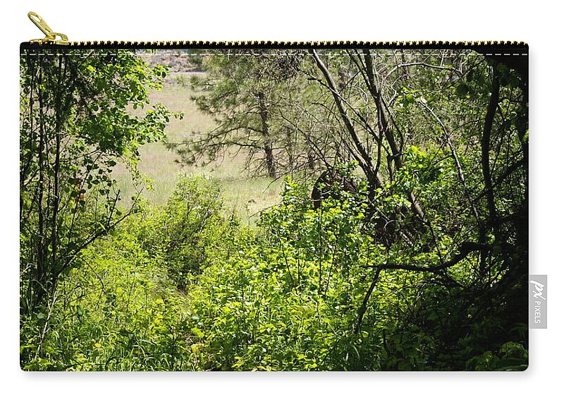 Nature Zip Pouch featuring the photograph Into the Light by Ben Upham III
