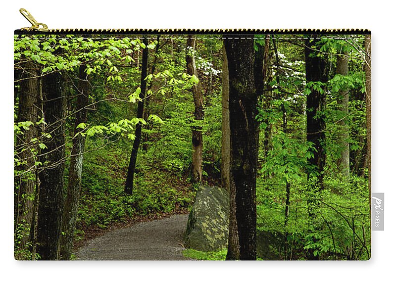 Paths Zip Pouch featuring the photograph Into the Woods by Kathy McClure