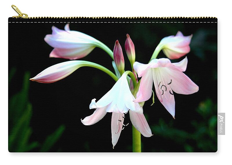 Flower Zip Pouch featuring the photograph Invitation by Richard Omura