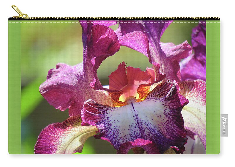 Iris Zip Pouch featuring the photograph Iris Butterfly - Floral Macro - Flower Art - Photography by Brooks Garten Hauschild