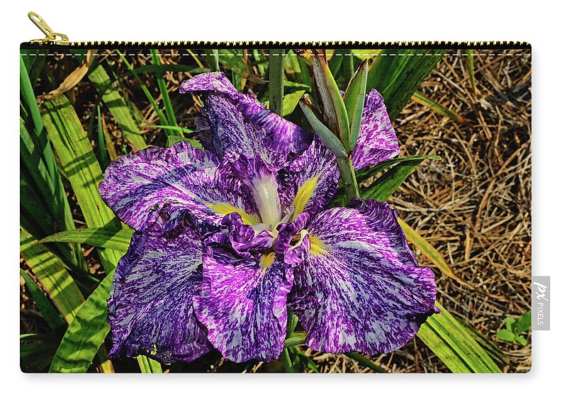 Iris Zip Pouch featuring the photograph Iris ensata - Japanese Iris Umi Botaru 011 by George Bostian