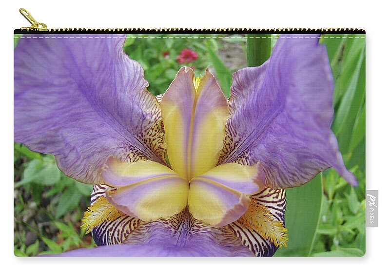�irises Artwork� Zip Pouch featuring the photograph Iris Flower Lavender Purple Yellow Irises Garden 19 Art Prints Baslee Troutman by Patti Baslee
