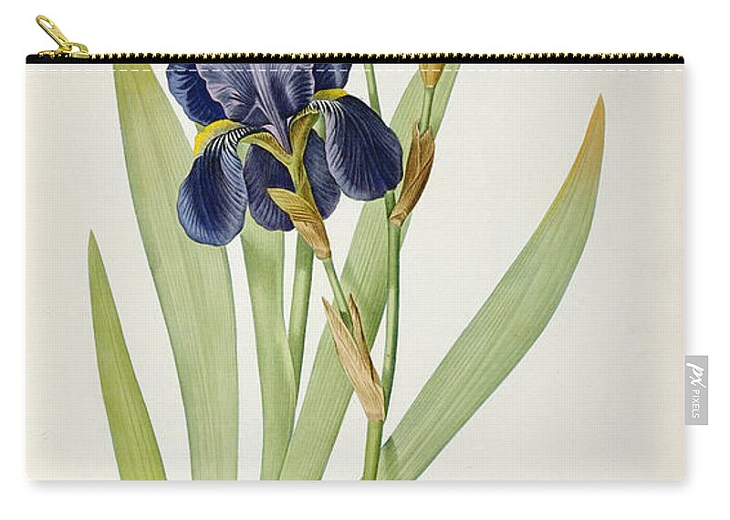 Iris Carry-all Pouch featuring the painting Iris Germanica by Pierre Joseph Redoute