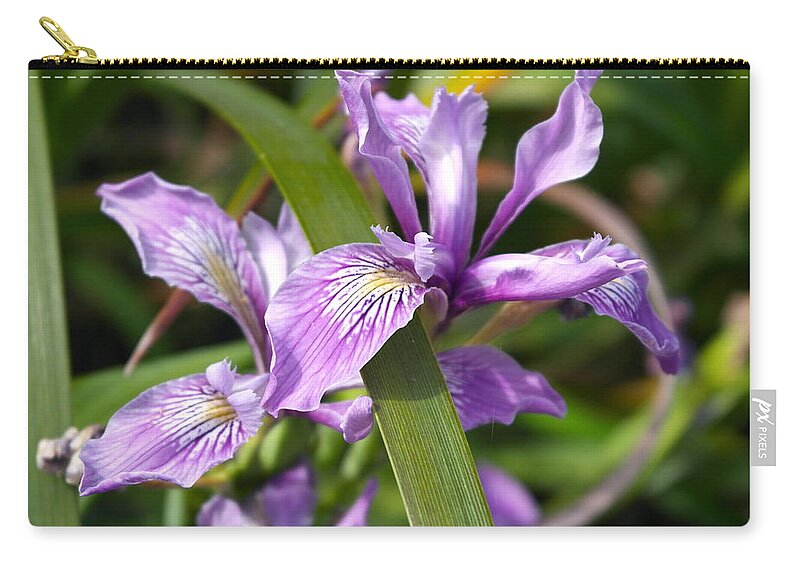 Flower Zip Pouch featuring the photograph Iris Haiku by Michele Myers