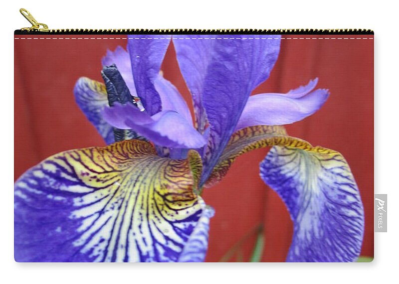 Iris Zip Pouch featuring the photograph Iris up close by Rosita Larsson