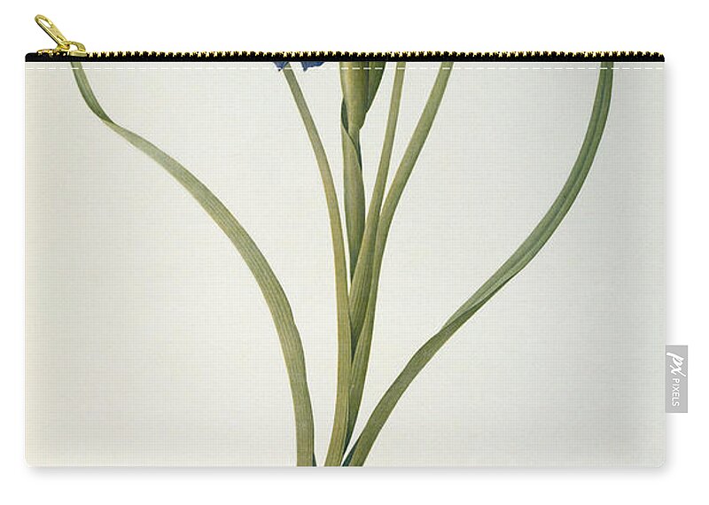 Iris Carry-all Pouch featuring the painting Iris Xyphioides by Pierre Joseph Redoute