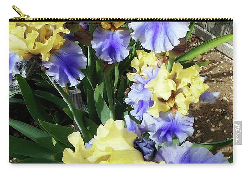 Iris Zip Pouch featuring the photograph Irises 11 by Ron Kandt