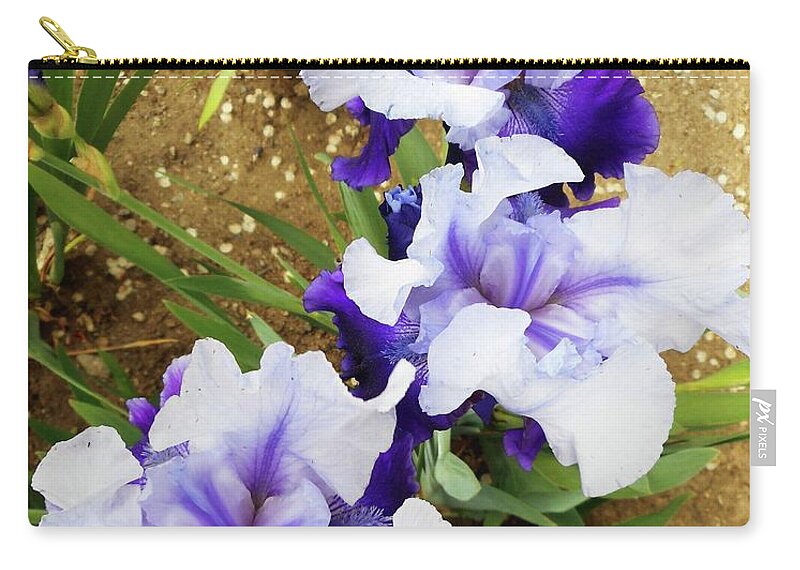 Iris Zip Pouch featuring the photograph Irises 14 by Ron Kandt