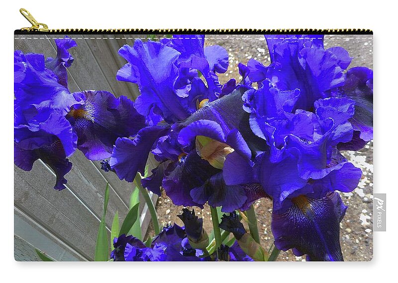 Iris Zip Pouch featuring the photograph Irises 26 by Ron Kandt