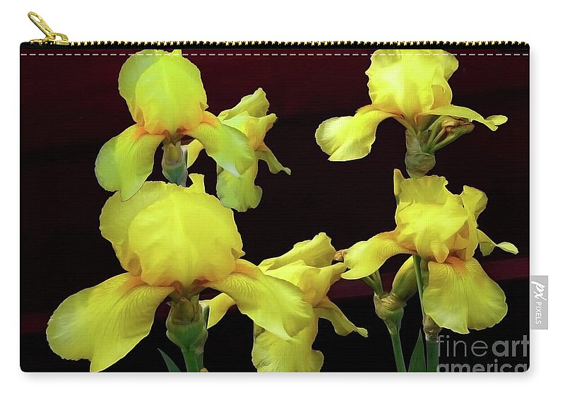 Photography Zip Pouch featuring the photograph Irises Yellow by Jasna Dragun