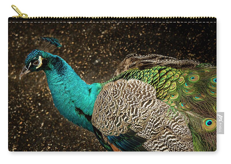 Jean Noren Zip Pouch featuring the photograph Is She Looking ? by Jean Noren