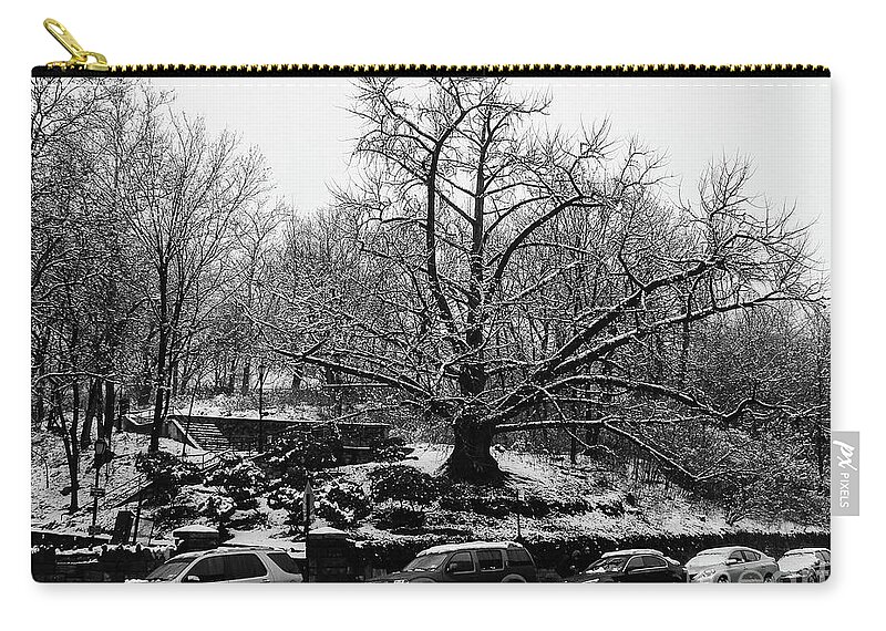 Ginkgo Zip Pouch featuring the photograph Isham Park Ginkgo by Cole Thompson