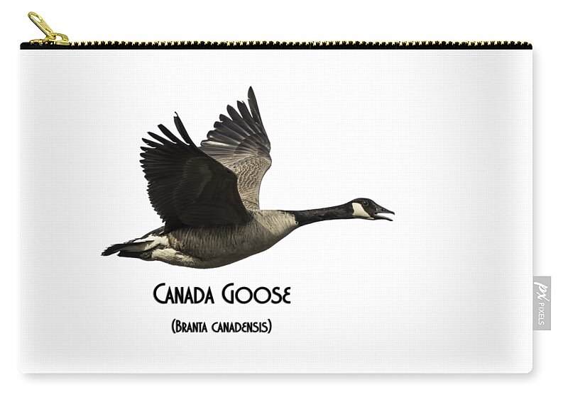 Canada Goose Carry-all Pouch featuring the photograph Isolated Canada Goose 2015-1 by Thomas Young