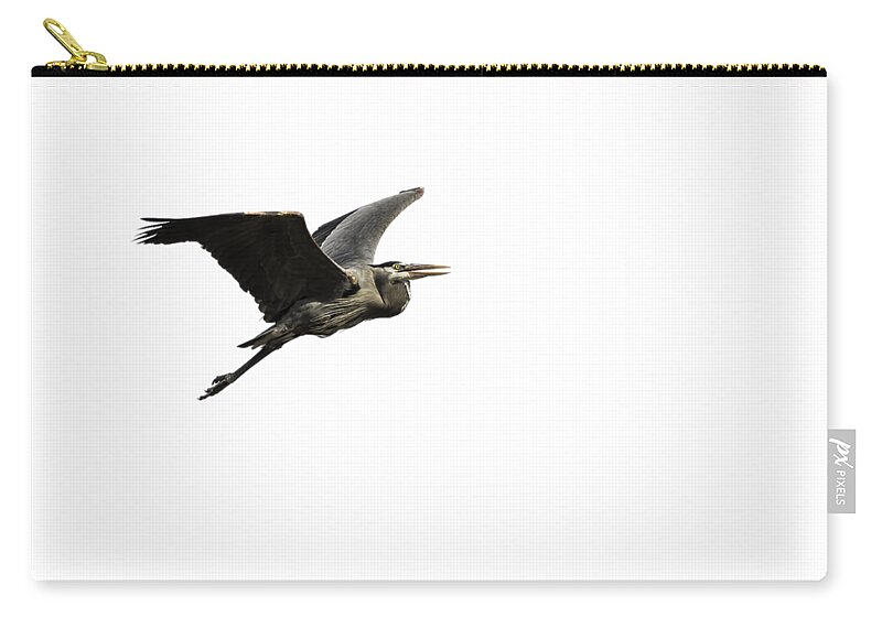 Great Blue Heron Carry-all Pouch featuring the photograph Isolated Great Blue Heron 2015-3 by Thomas Young