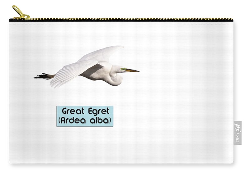 Great Egret Zip Pouch featuring the photograph Isolated Great Egret 2018-1 by Thomas Young