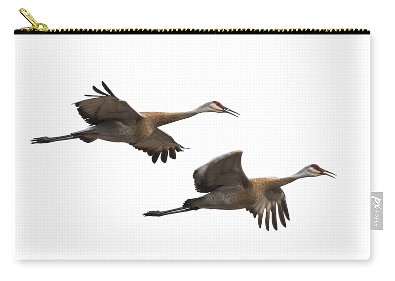 Sandhill Cranes Carry-all Pouch featuring the photograph Isolated Sandhill Cranes 2016-1 by Thomas Young