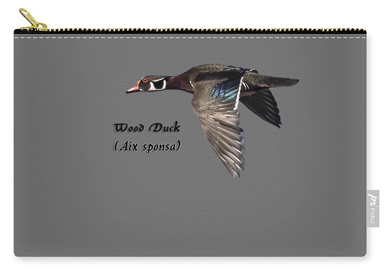 Wood Duck Carry-all Pouch featuring the photograph Isolated Wood Duck 2017-1 by Thomas Young