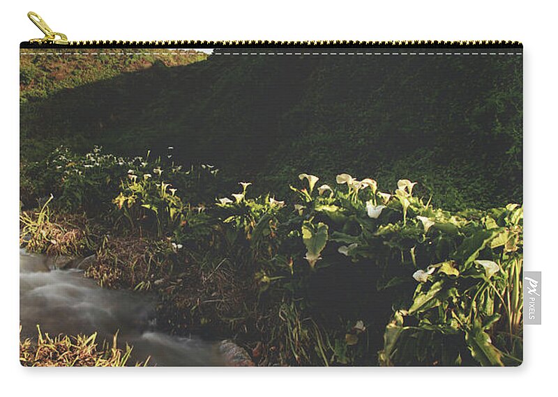 Garrapata State Park Zip Pouch featuring the photograph It Was a Hard Winter by Laurie Search