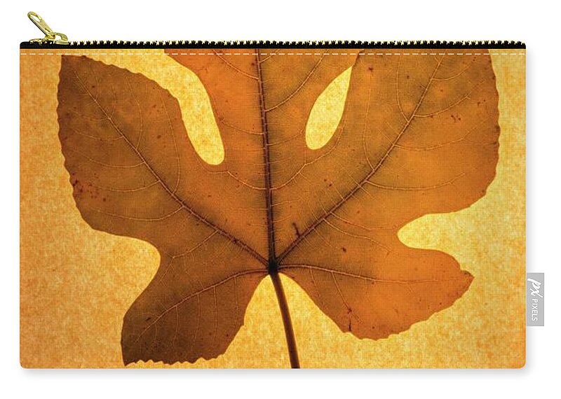 Italian Honey Fig Leaf Zip Pouch featuring the photograph Italian Honey Fig Leaf by Frank Wilson