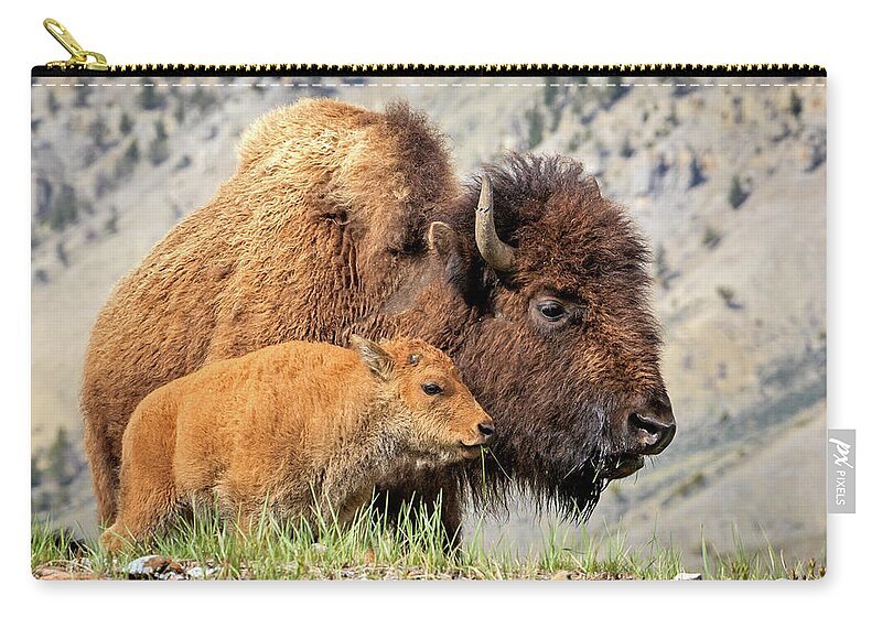 Bison Zip Pouch featuring the photograph It's A Big World by Jack Bell