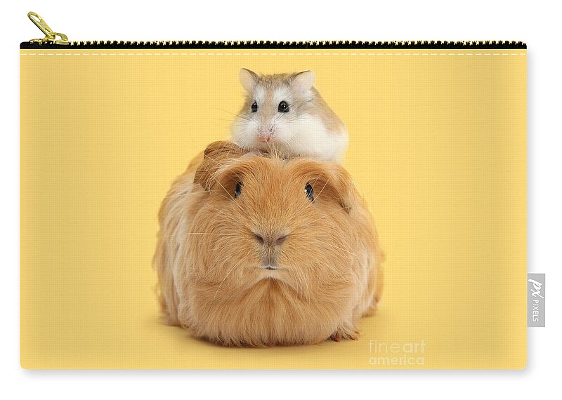 Roborovski Hamster Zip Pouch featuring the photograph It's a Guinea wig by Warren Photographic