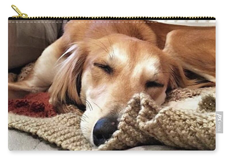 Dogsofinstagram Zip Pouch featuring the photograph It's Been A Hard Day...

#saluki by John Edwards