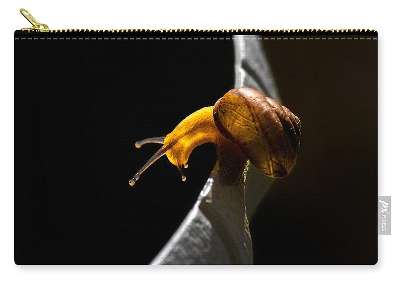 Insect Carry-all Pouch featuring the photograph It's Dark Down There by Christopher Holmes