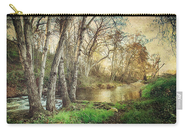 Angels Camp Zip Pouch featuring the photograph It's Passed Me By by Laurie Search