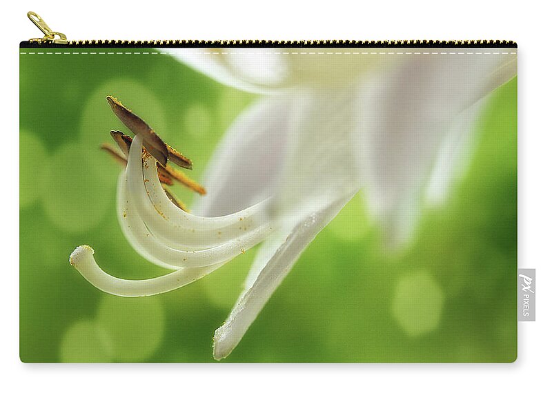 Hosta Zip Pouch featuring the photograph It's Summer Time by Mike Eingle