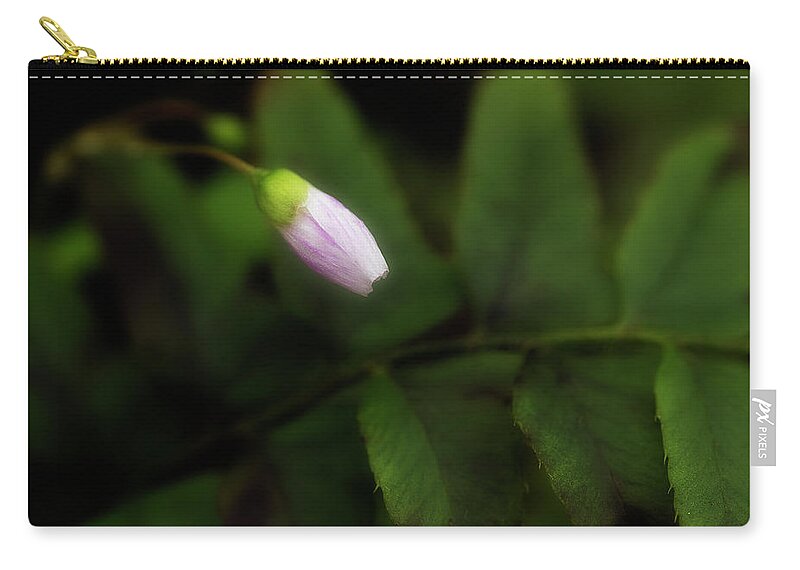 Flower Zip Pouch featuring the photograph It's Time by Mike Eingle