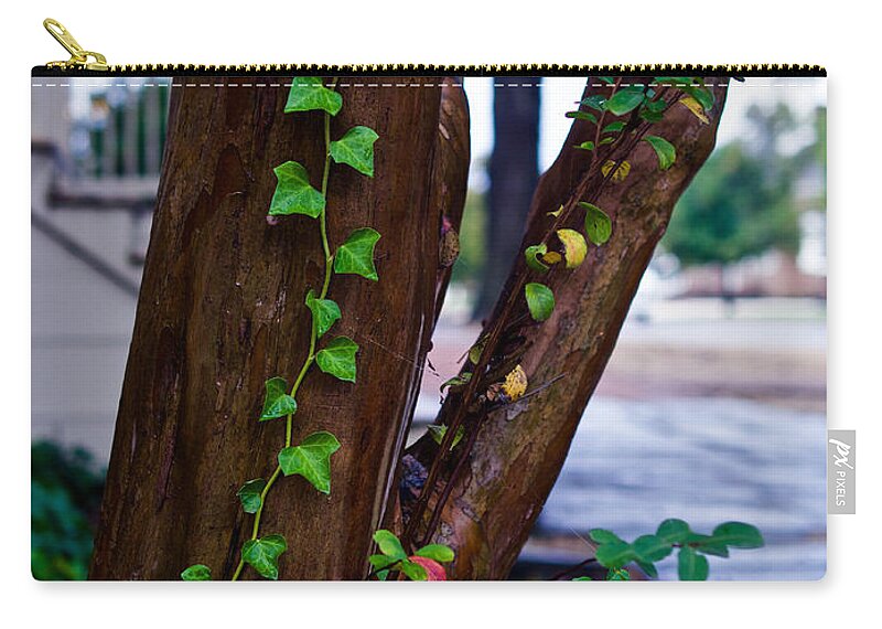 Ivy Zip Pouch featuring the photograph Ivy in Williamsburg by Lara Morrison