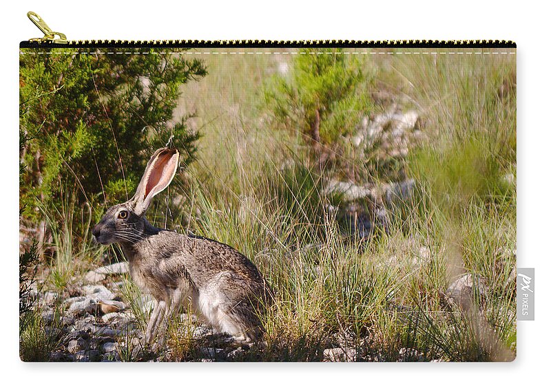 Smullins Zip Pouch featuring the photograph Jack rabbit by James Smullins