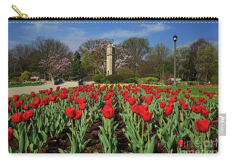 Jackson Park Spring Tulips Zip Pouch featuring the photograph Jackson Park Spring Tulips 2 by Rachel Cohen