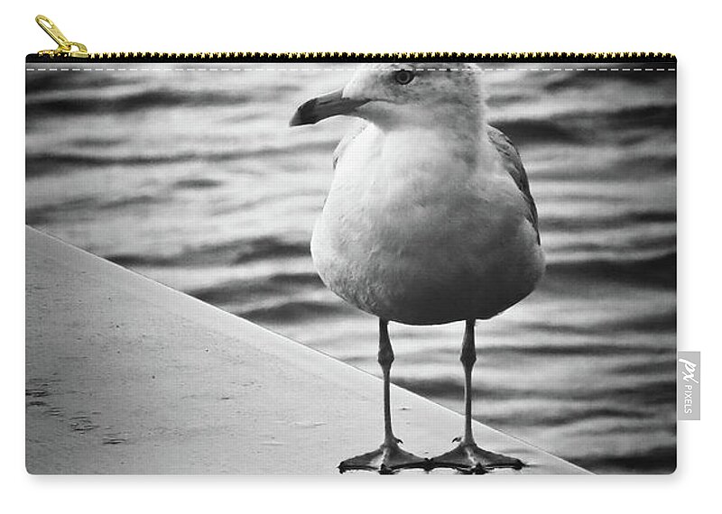 Seagull Zip Pouch featuring the photograph Jackson Street Pier Seagull by Shawna Rowe