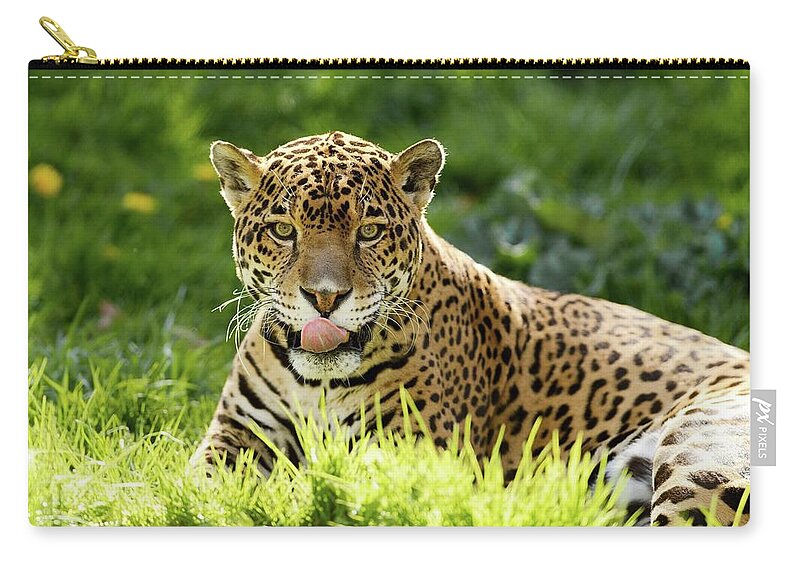 Jaguar Zip Pouch featuring the digital art Jaguar by Maye Loeser