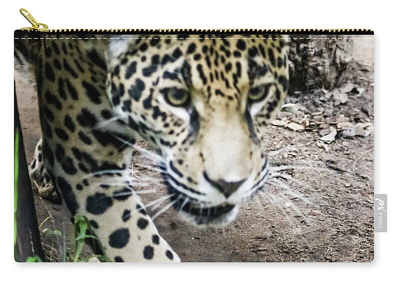 Jaguar Zip Pouch featuring the photograph Jaguar by Suzanne Luft