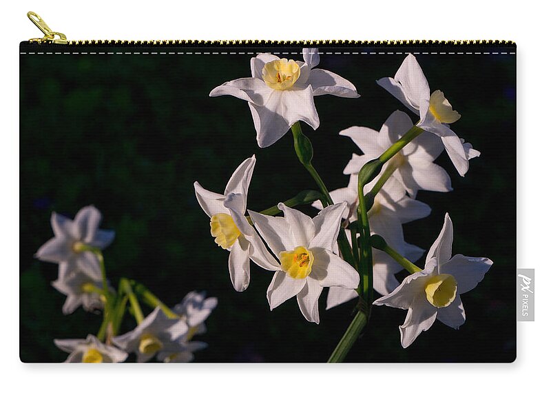 Flower Carry-all Pouch featuring the photograph January Surprise by Derek Dean
