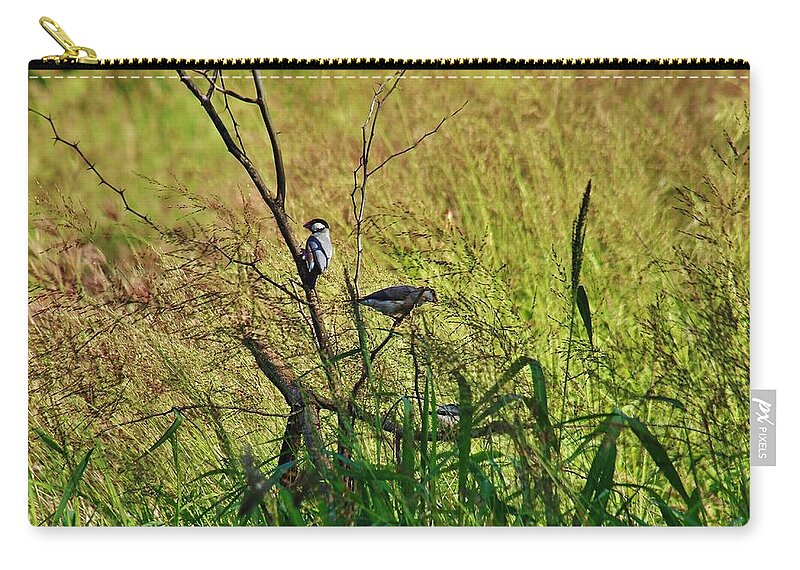 Java Rice Birds Zip Pouch featuring the photograph Java Rice Bird two by Craig Wood