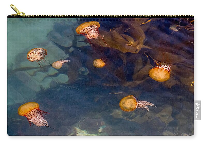 Jellies Zip Pouch featuring the photograph Jellies at the Jetty by Derek Dean