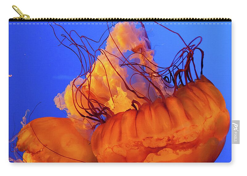 Jelly Fish Zip Pouch featuring the photograph Jelly Fish 3 by Susan Cliett