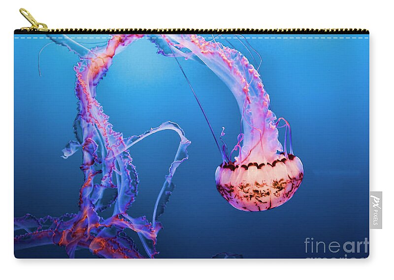 Jelly Fish Zip Pouch featuring the photograph Jelly Fish Pacific Ocean California by Chuck Kuhn