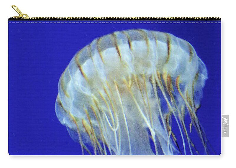 Fish Zip Pouch featuring the photograph Jelly Fish Two by Rosalie Scanlon