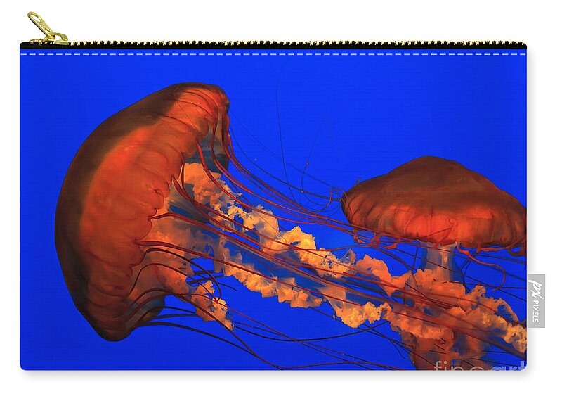 Ripley's Zip Pouch featuring the photograph Jellyfish by Jill Lang