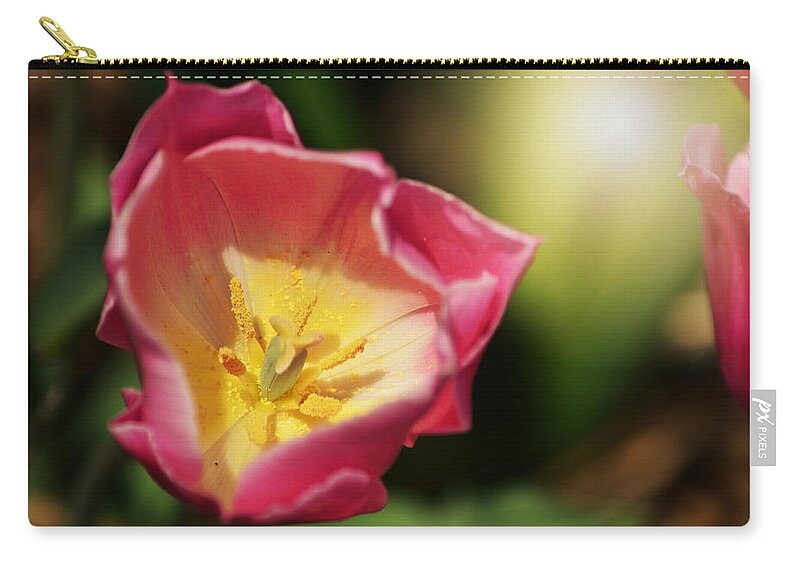 Flower Zip Pouch featuring the mixed media Jessica by Trish Tritz