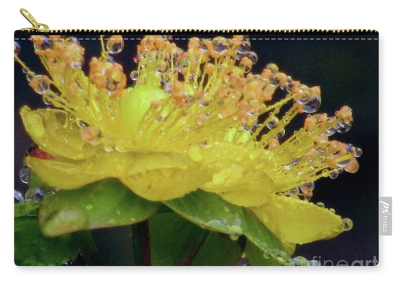 Raindrops Zip Pouch featuring the photograph Jewelled Crown by Kim Tran