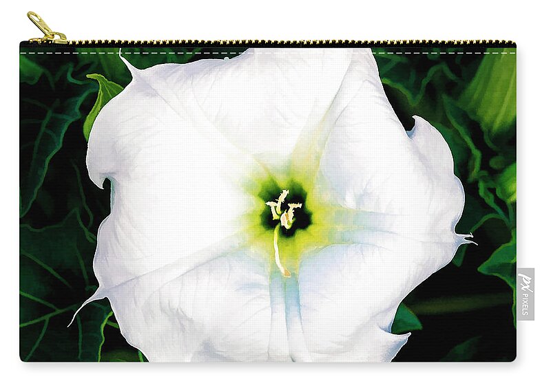 © 2017 Lou Novick All Rights Reserved Zip Pouch featuring the photograph Jimson Weed #1 by Lou Novick