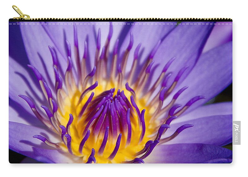 Journey Into The Heart Of Love Zip Pouch featuring the photograph Journey Into The Heart Of Love by Sharon Mau