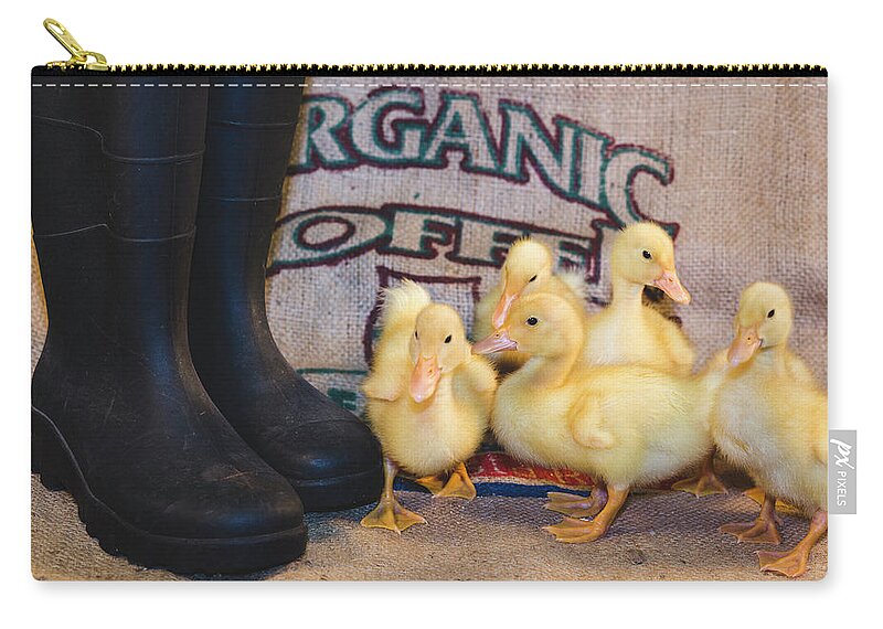 Andrew Pacheco Zip Pouch featuring the photograph Joys of Spring by Andrew Pacheco