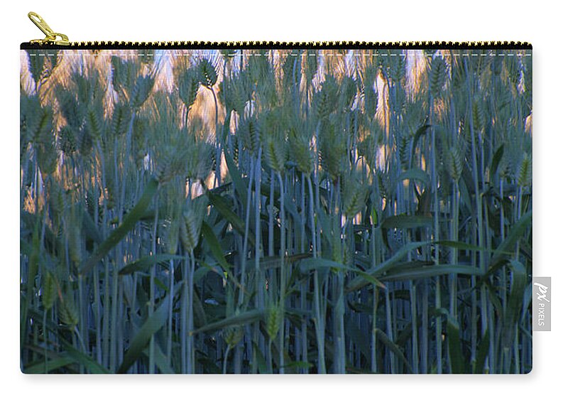 Outdoors Zip Pouch featuring the photograph July Crops II by Doug Davidson