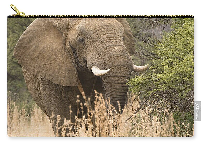 Wildlife Zip Pouch featuring the photograph Jumbo by Patrick Kain